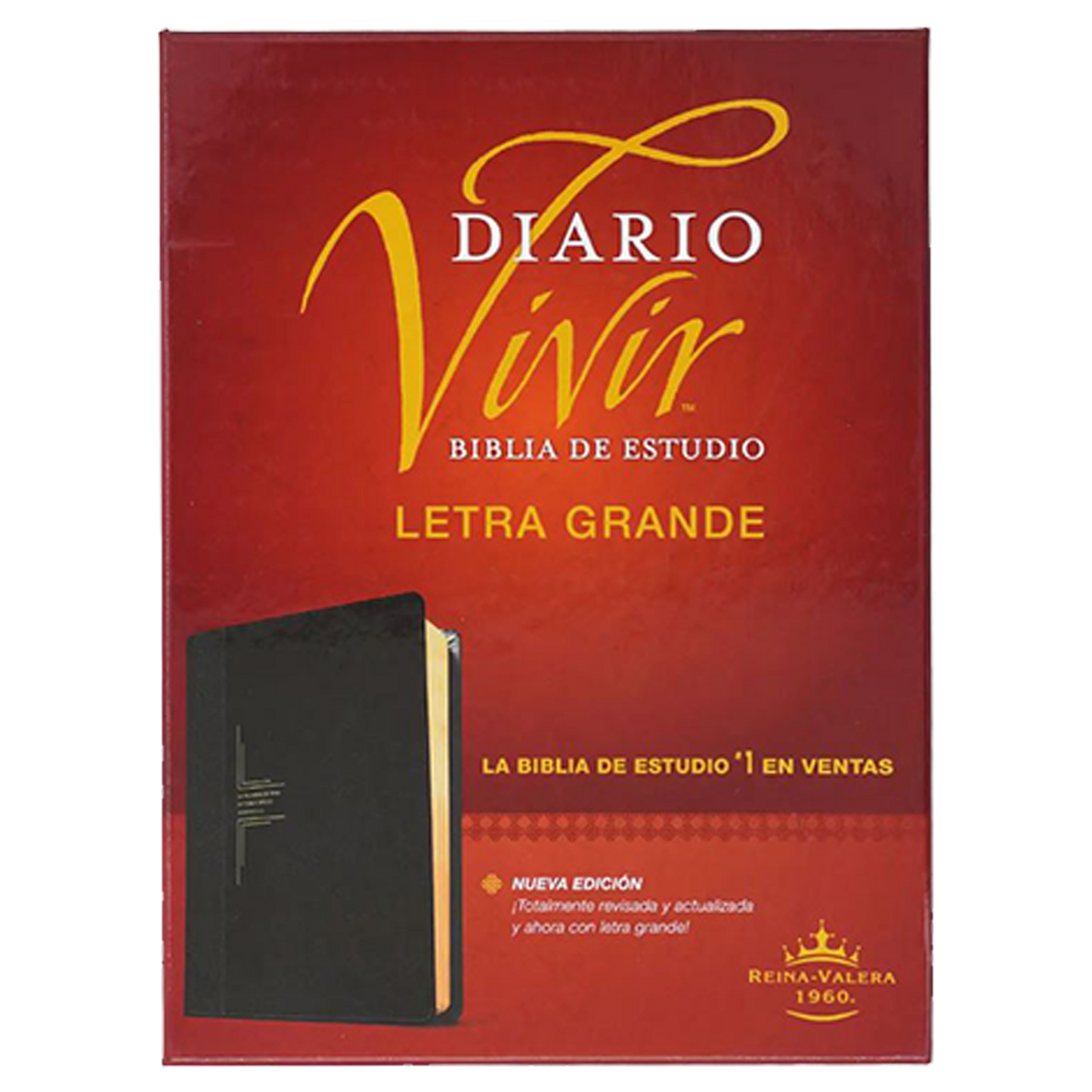 BIBLIA RVR60 ESTUDIO DIARIO VIVIR COLOR NEGRO-ÓNIICE LETRA GRANDE