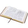 BIBLIA RVR60 ESTUDIO DIARIO VIVIR COLOR CAFÉ LETRA GRANDE