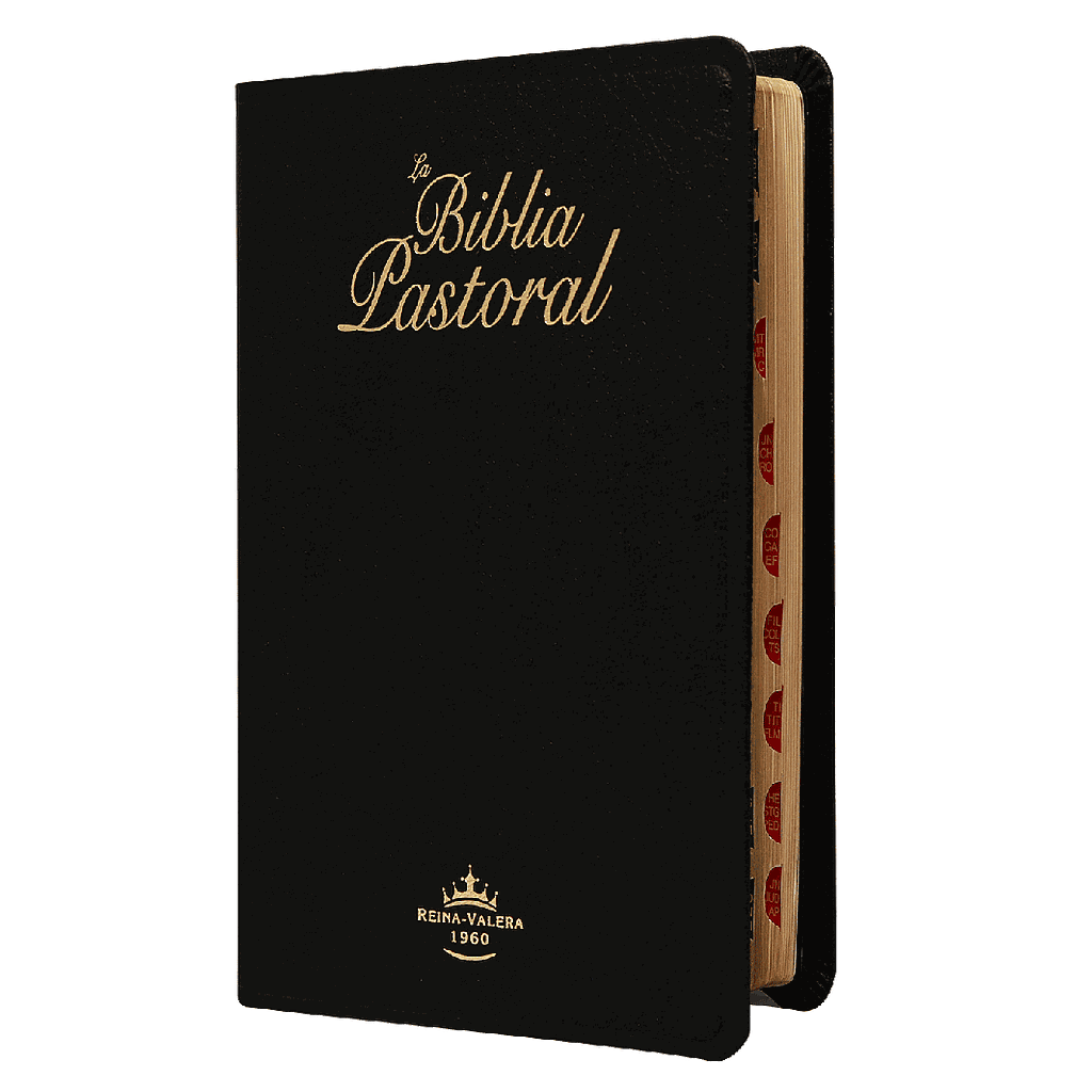 Biblia Pastoral RVR60 Letra Grande | Simil Piel