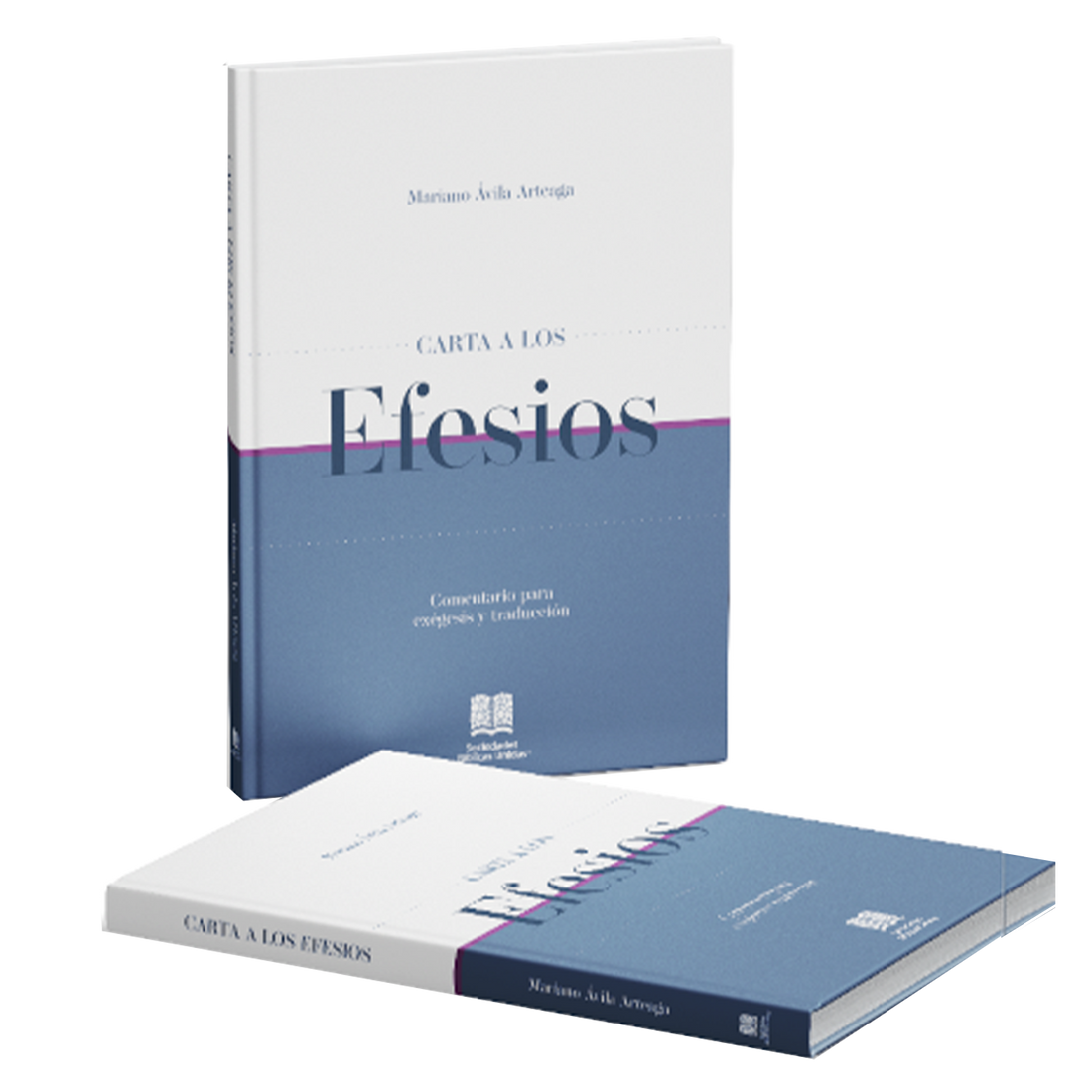 DE EXÉGESIS Y TRADUCCIÓN EFESIOS DE EXÉGESIS Y TRADUCCIÓN EFESIOS