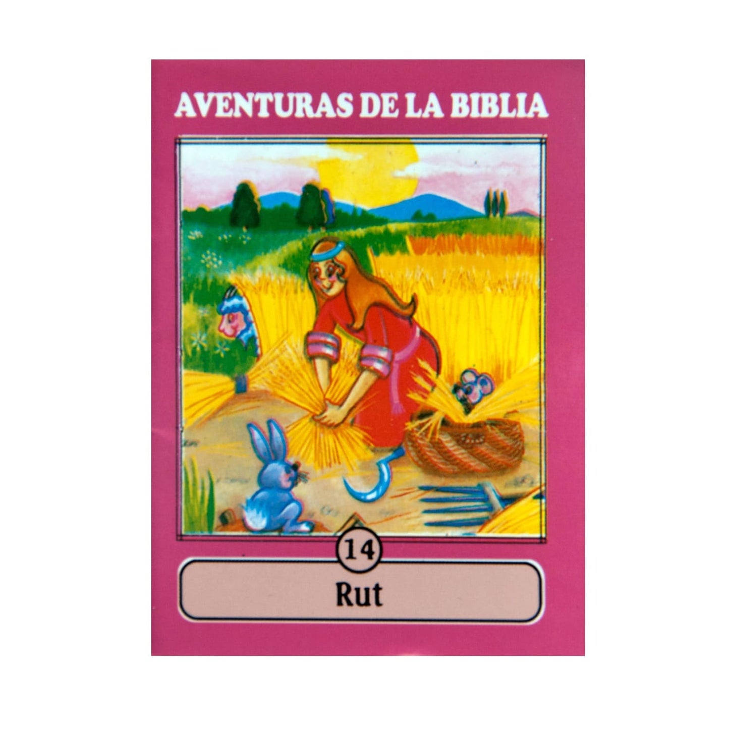 Cartilla Mini Aventuras - 14 RUT Colección