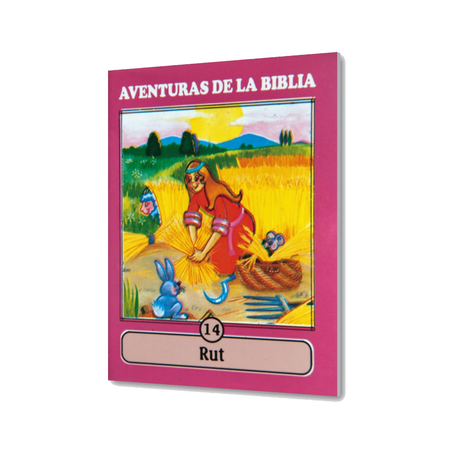 Cartilla Mini Aventuras - 14 RUT Colección