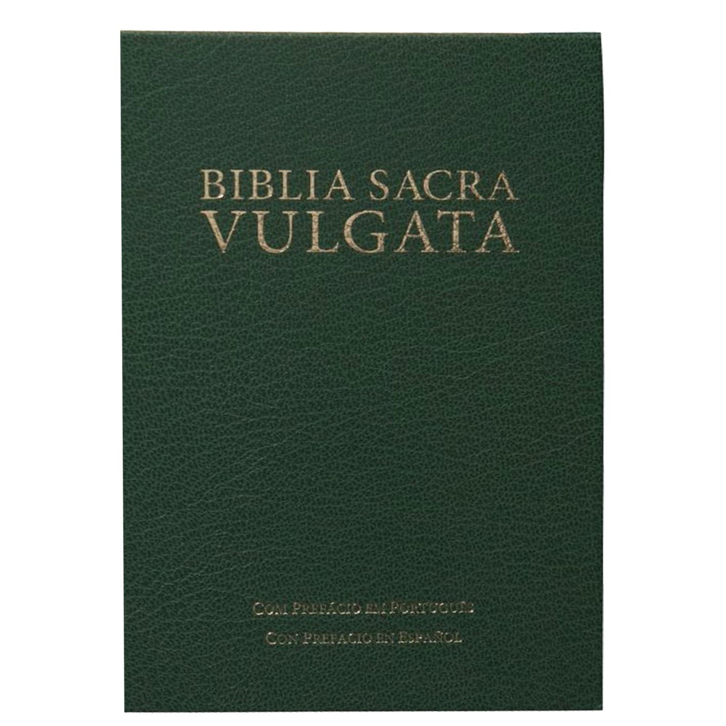 BIBLIA VULGATA