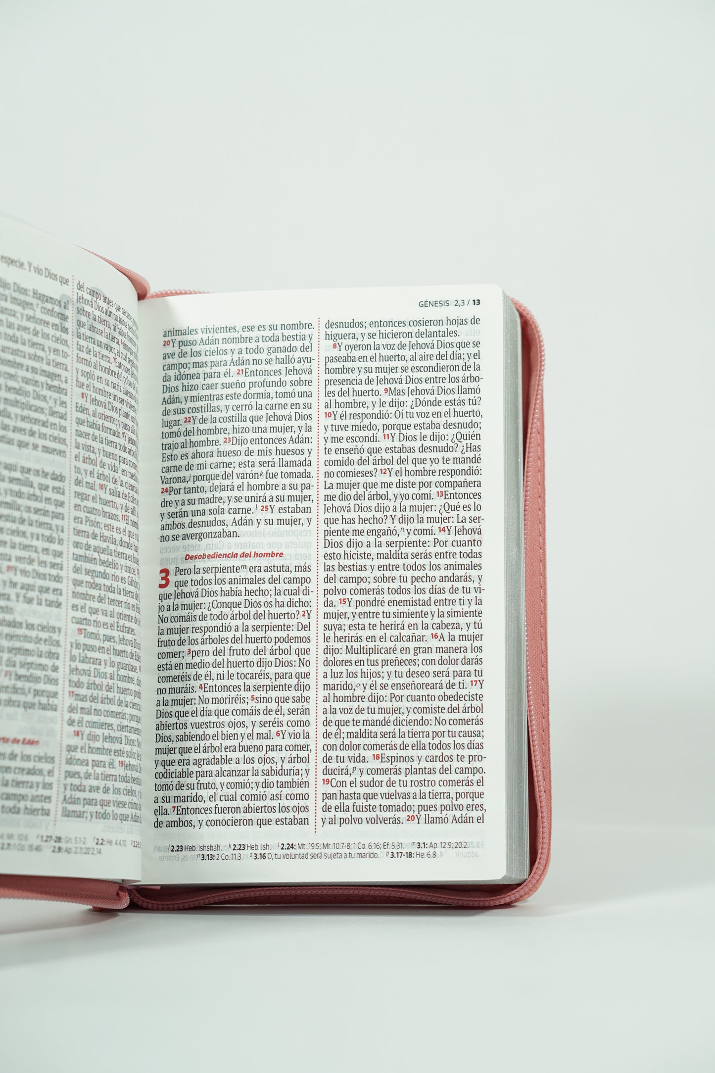 Biblia RVR Vive La Palabra Letra Grande con Cierre y Herramientas Digitales Color Rosado con Fucsia