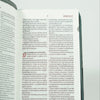 Biblia RVR60 Letra Grande 12 pts con Recursos Digitales - Color Negro y Gris