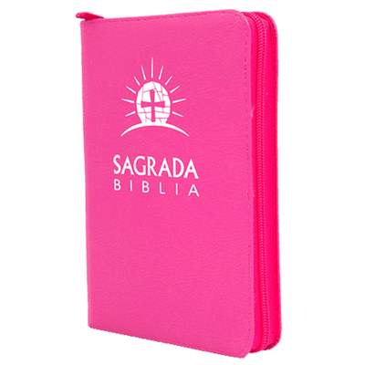 Biblia Dios Habla Hoy (DHH) Letra Grande Rosada