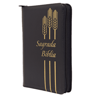 Biblia Dios Habla Hoy (DHH) Negra Dorado – Letra grande