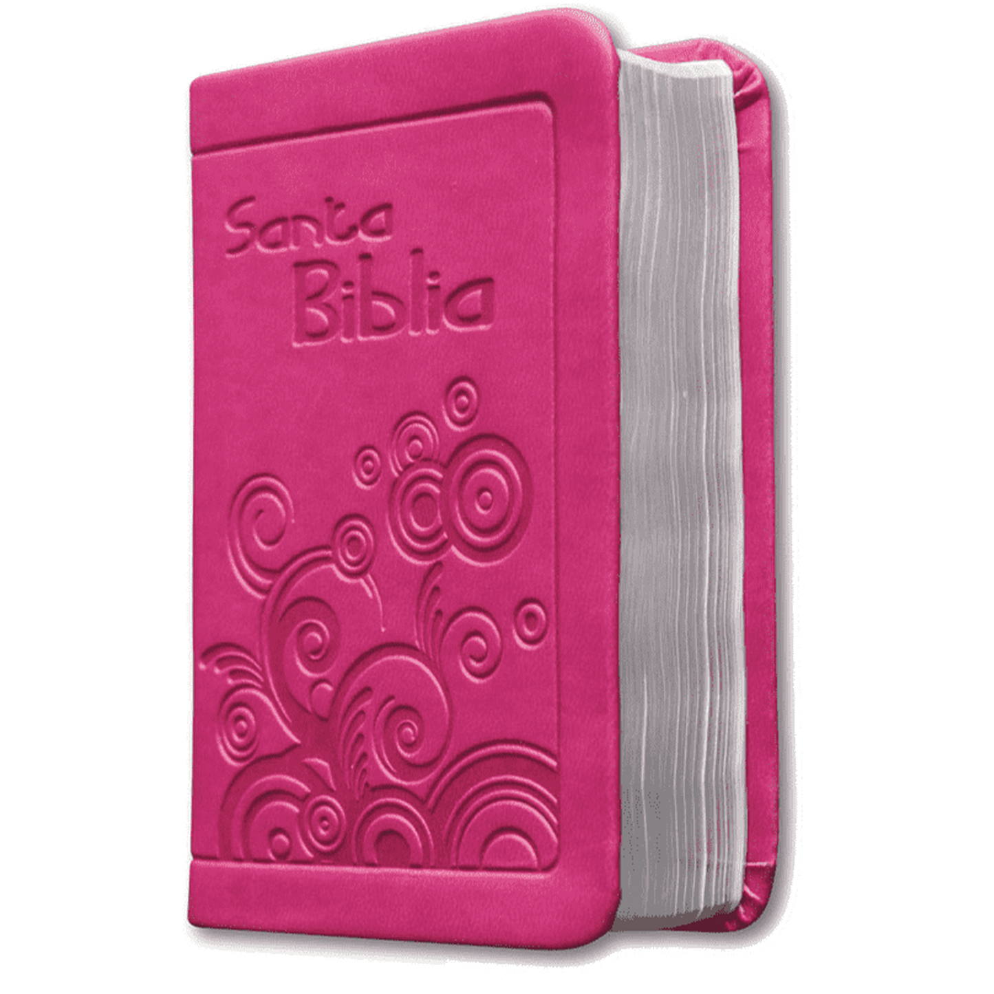 Biblia RVR Letra pequeña Color Fucsia Con Ayudas Digitales