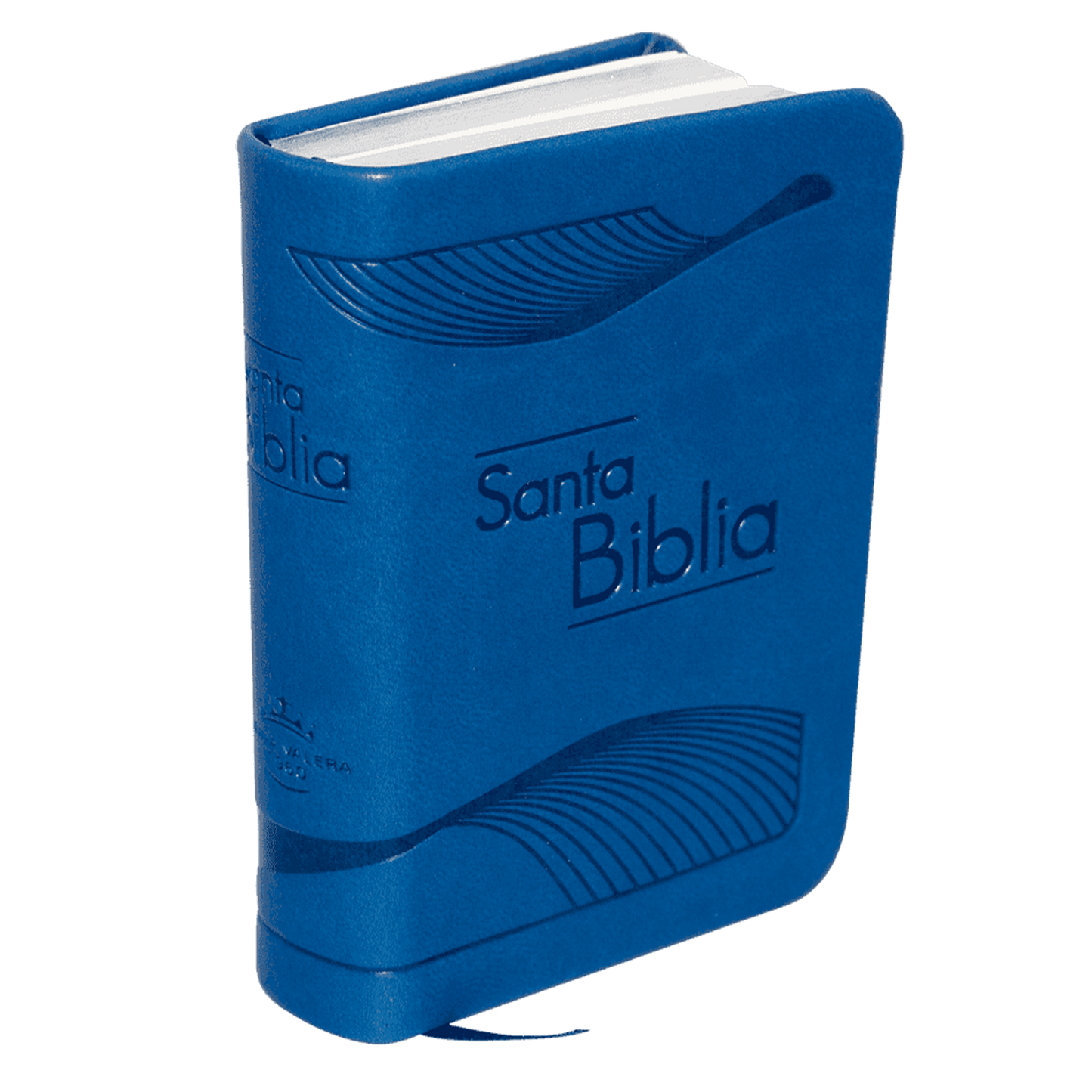 Biblia RVR Letra pequeña Color Azul Con Ayudas Digitales