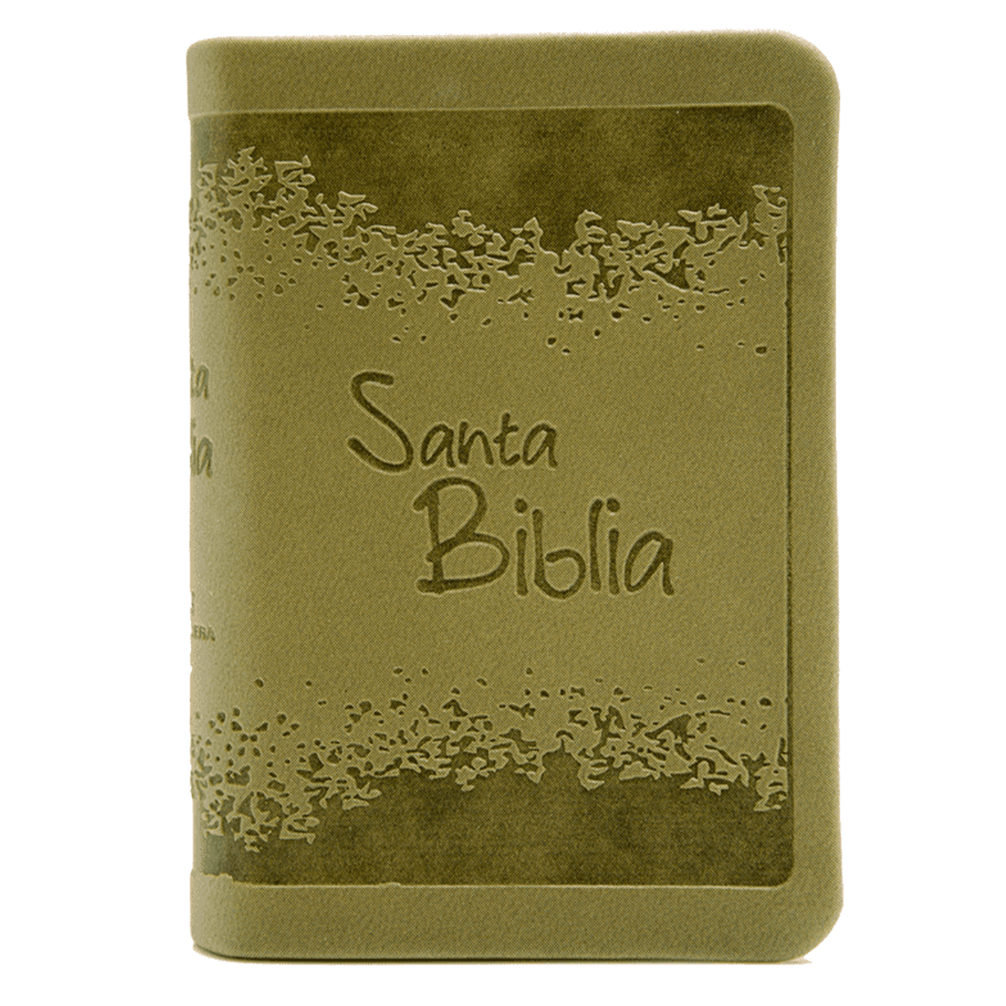 Biblia RVR Letra pequeña Color Verde Con Ayudas Digitales