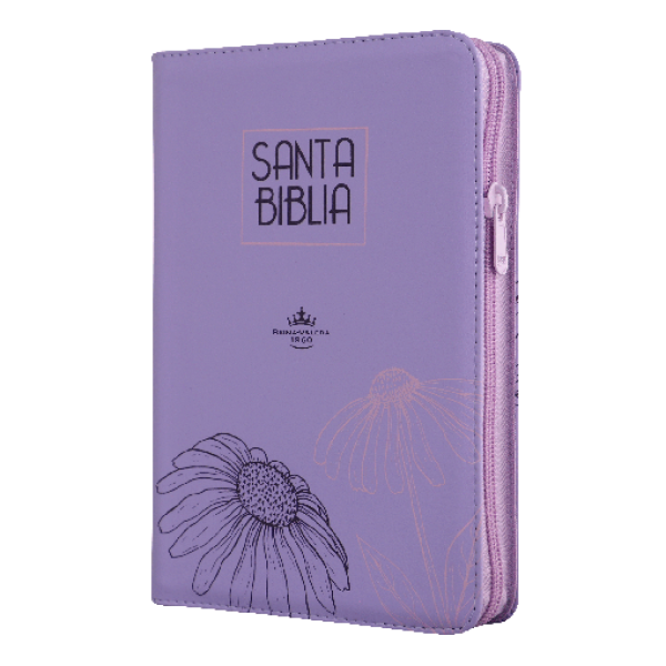 Biblia RVR60 Letra Grande 12 pts con Recursos Digitales - Color Lila