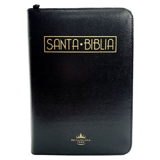 PJR NEGRO CANTO DORADO QR