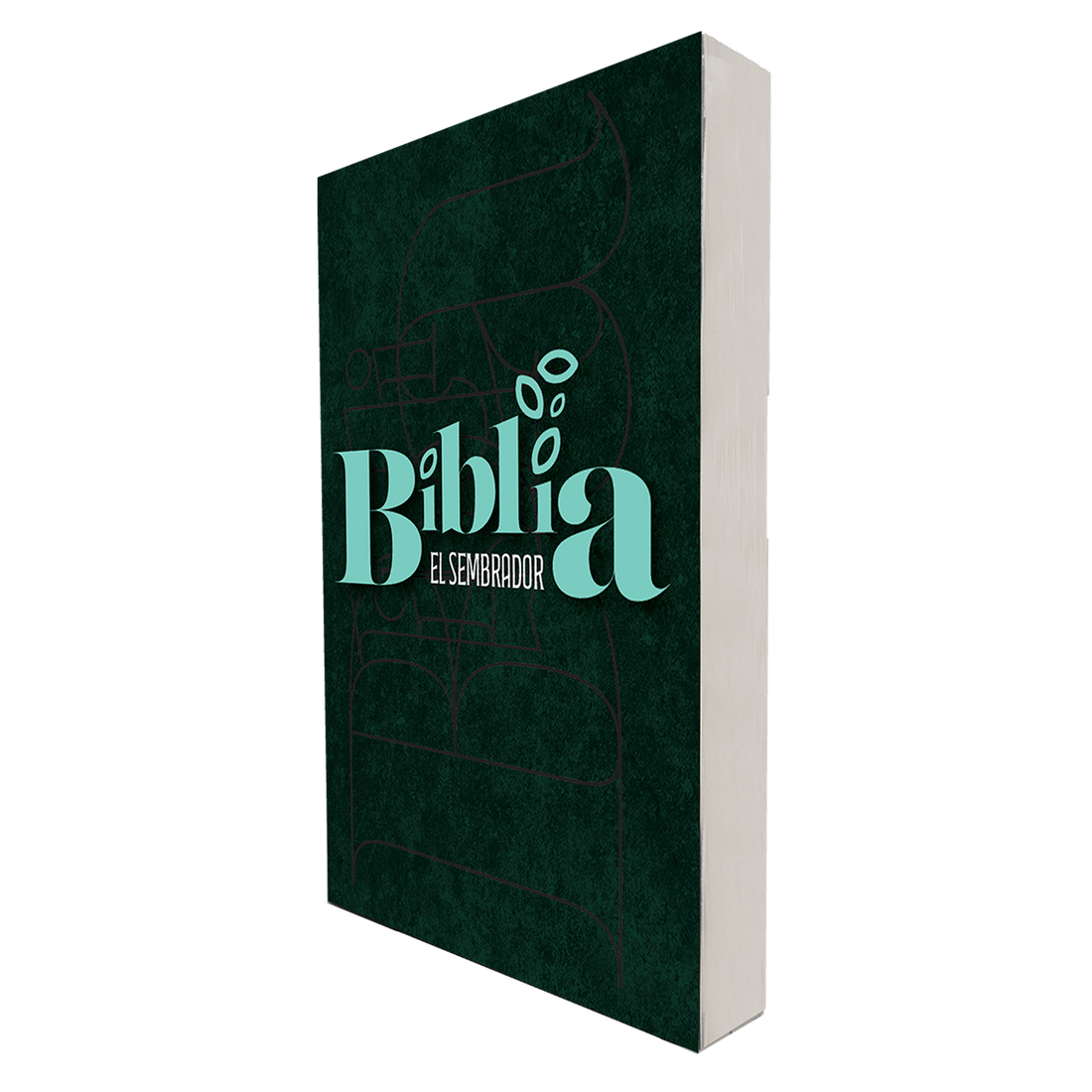 Biblia Misionera RVC Letra mediana Color Verde Con Ayudas Digitales 4 9789587457612 LADO 1 8a82150a 5580 406c 8801 487d62fec9eb