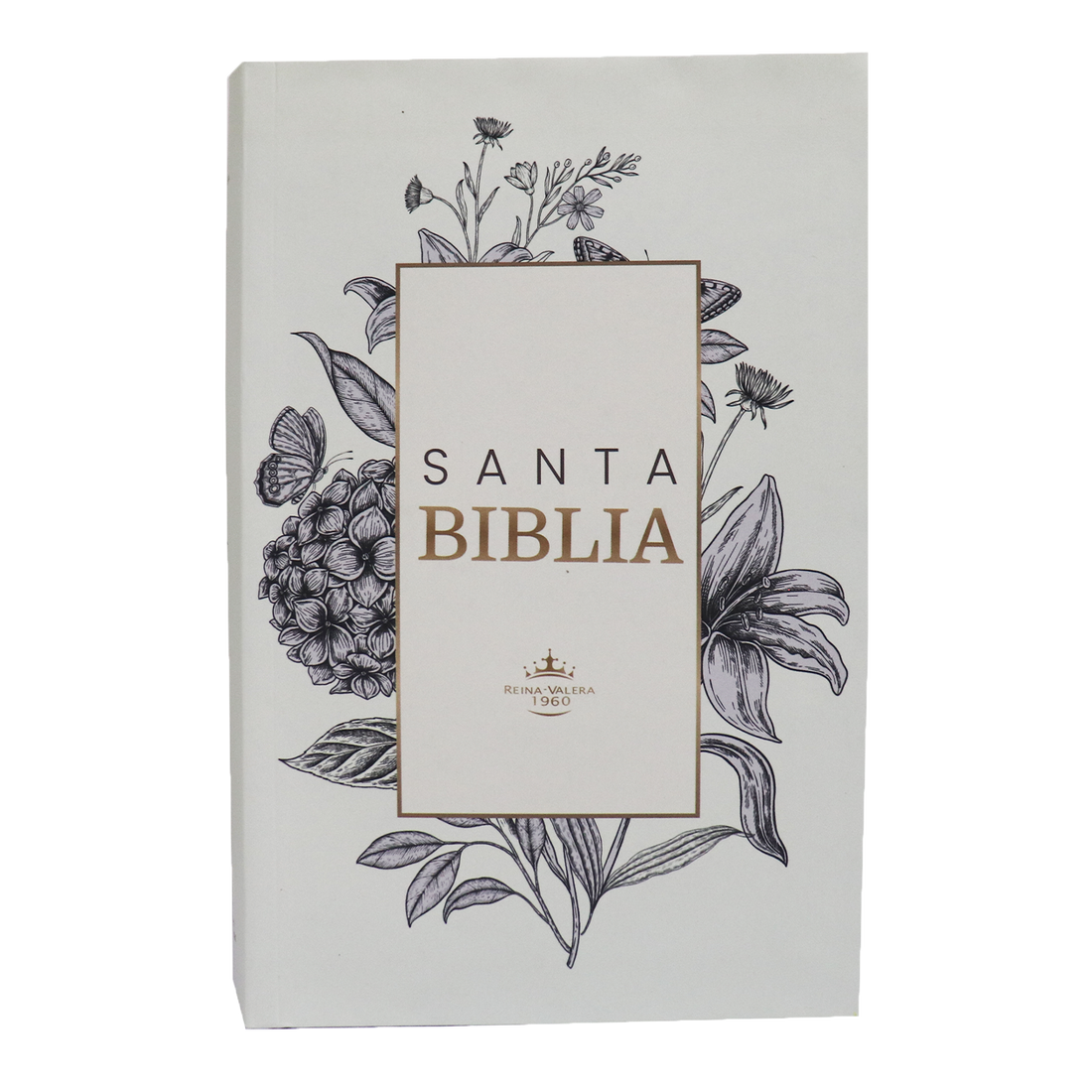 PJR COLOR BLANCO CANTO BLANCO AYUDAS QR 14 PUNTOS PJR COLOR BLANCO CANTO BLANCO AYUDAS QR 14 PUNTOS