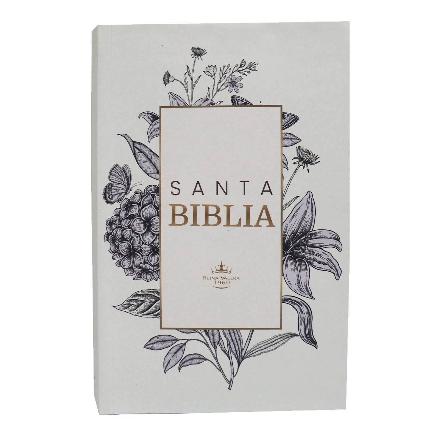 Biblia RVR60 Letra Grande 14 pts Color Blanco Con Ayudas Digitales - Tapa Flexible