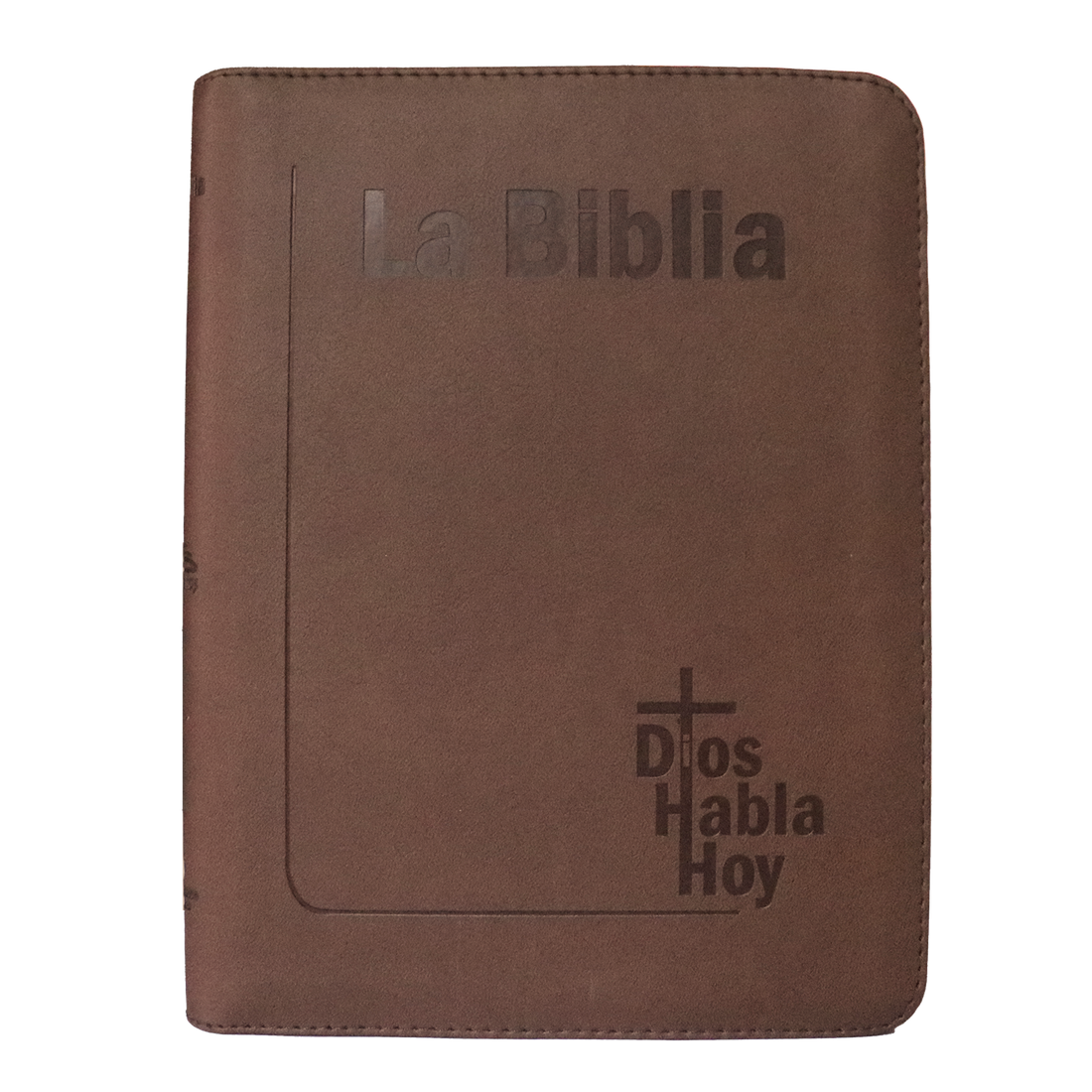 COLOR CAFÉ CANTO DORADO AYUDAS QR COLOR CAFÉ CANTO DORADO AYUDAS QR