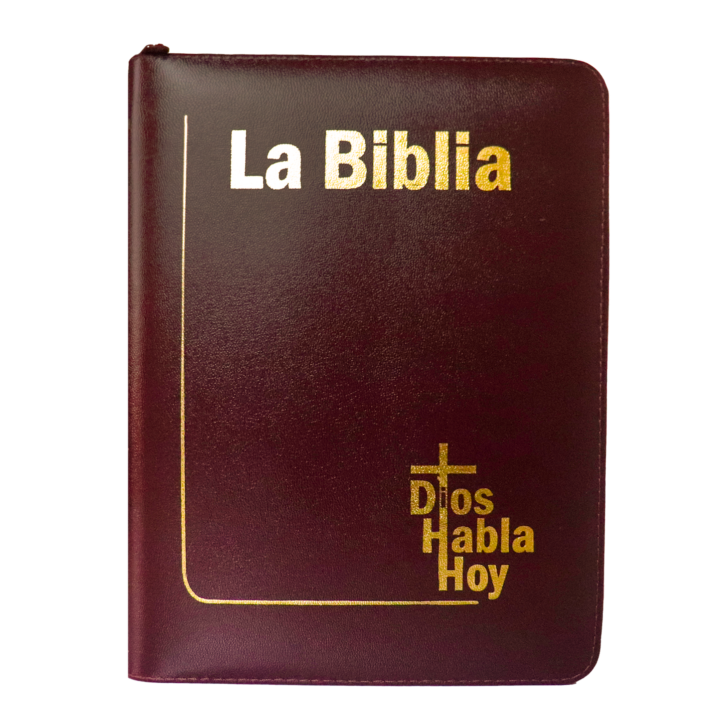 Biblia DHH Letra gigante Color Vino