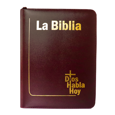 Biblia DHH Letra gigante Color Vino