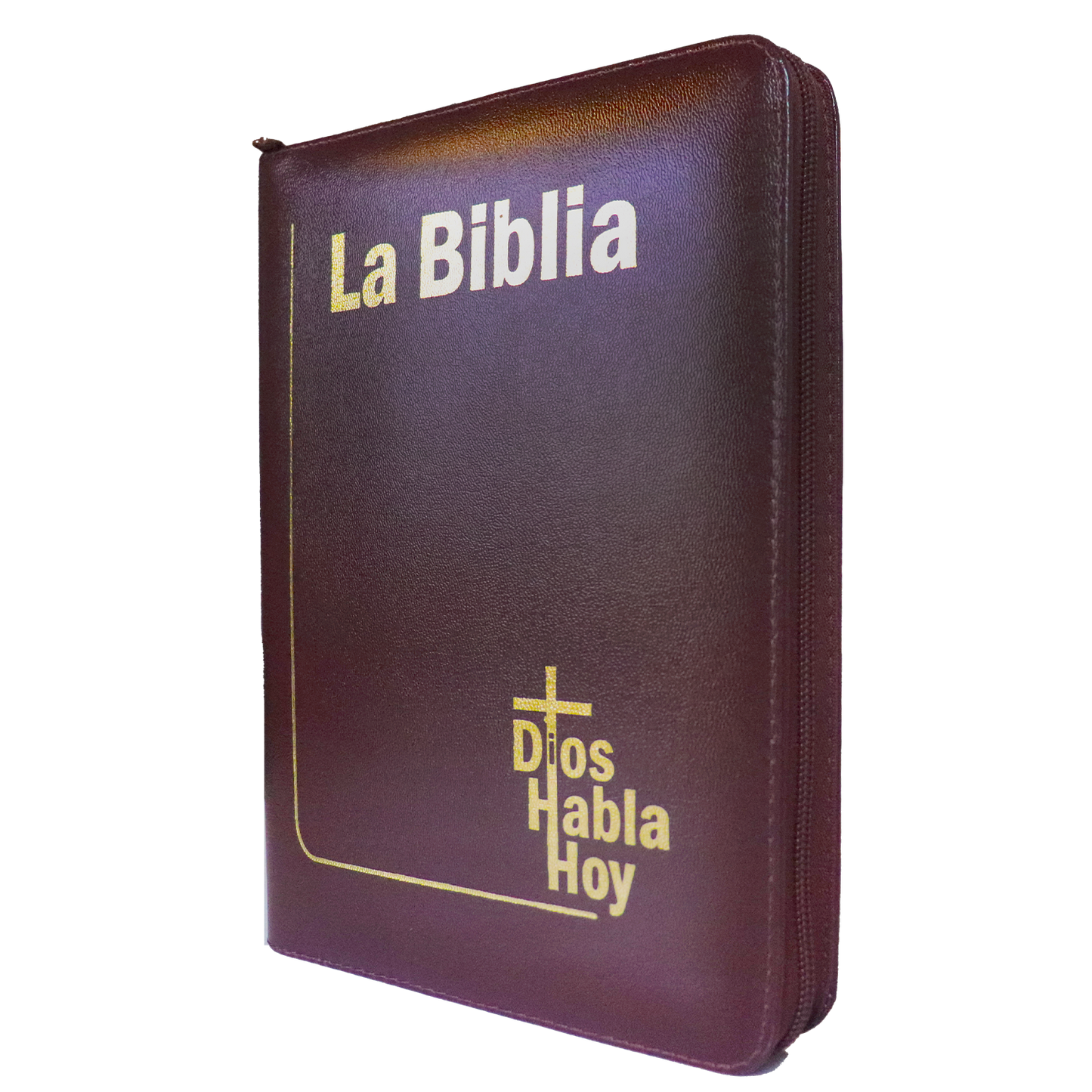 Biblia DHH Letra gigante Color Vino