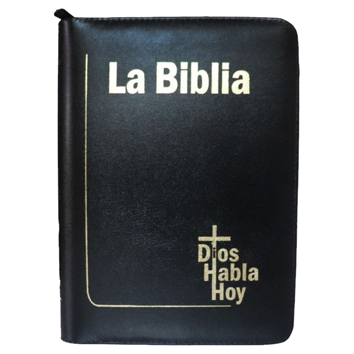 Biblia DHH Letra gigante Color Vino