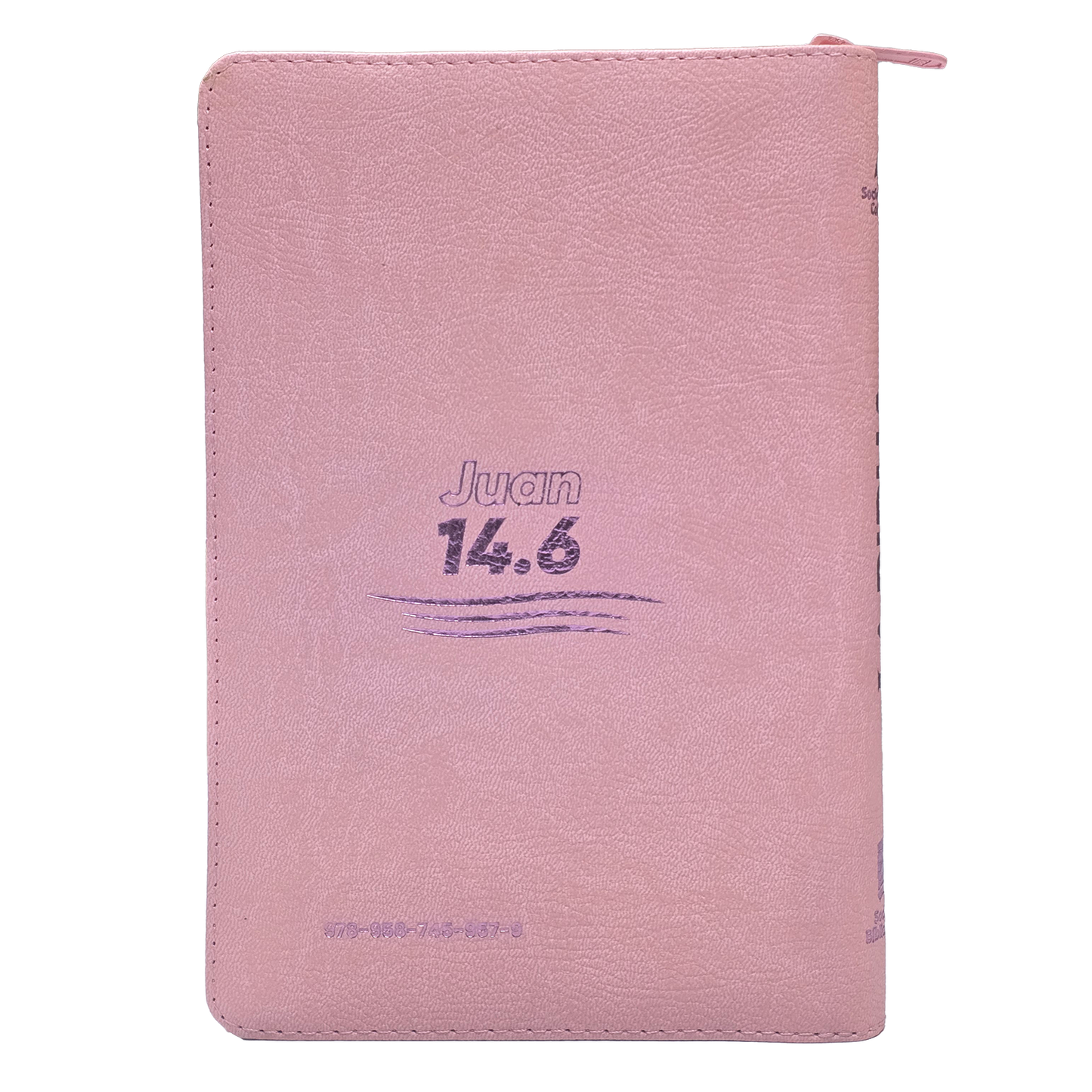 BIBLIA DEL NUEVO CREYENTE TLA066Z LGP PJR ROSADO CANT PLAT