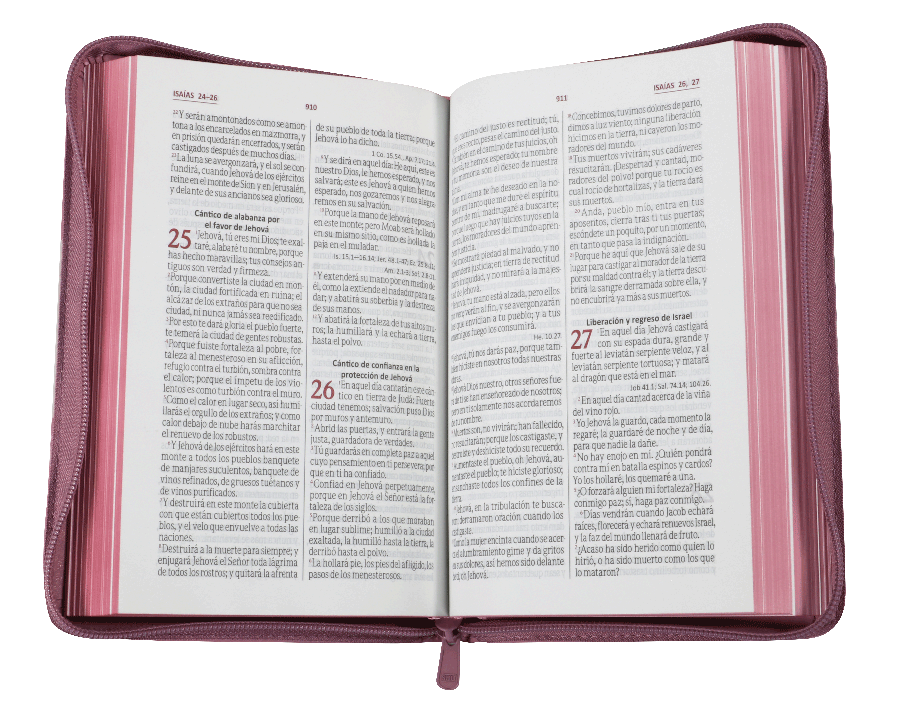 Biblia RVR60 Letra Grande 12 pts con Recursos Digitales - Color Rosa con Flores