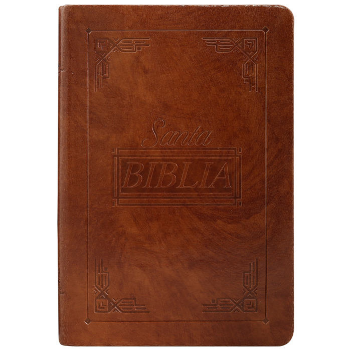 Biblia Reina Valera 1960 Letra Mediana Color Café Canto Pintando