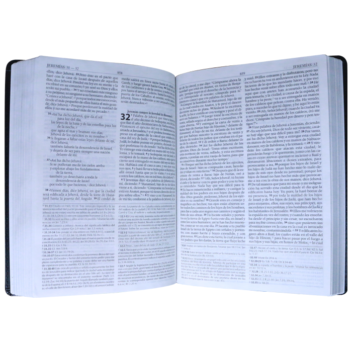 Biblia Reina Valera 1995 Estudio Exégesis Negra