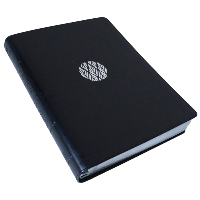 Biblia Reina Valera 1995 Estudio Exégesis Negra