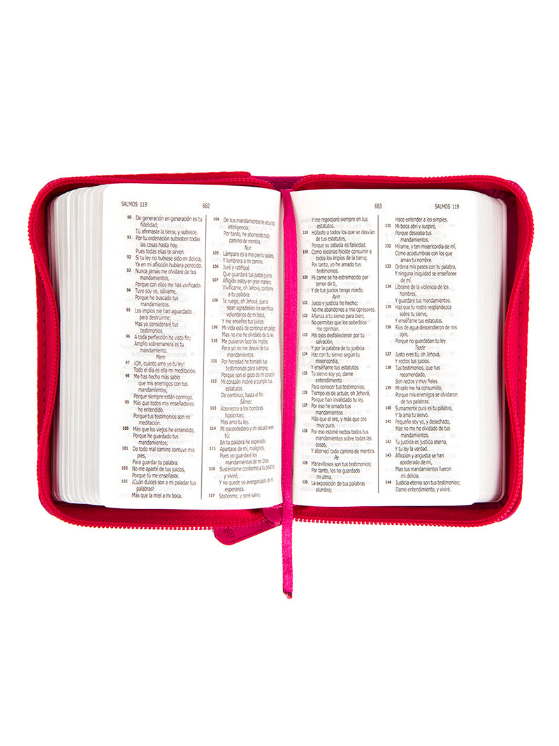 Biblia RVR Letra pequeña Color Fucsia Con Ayudas Digitales