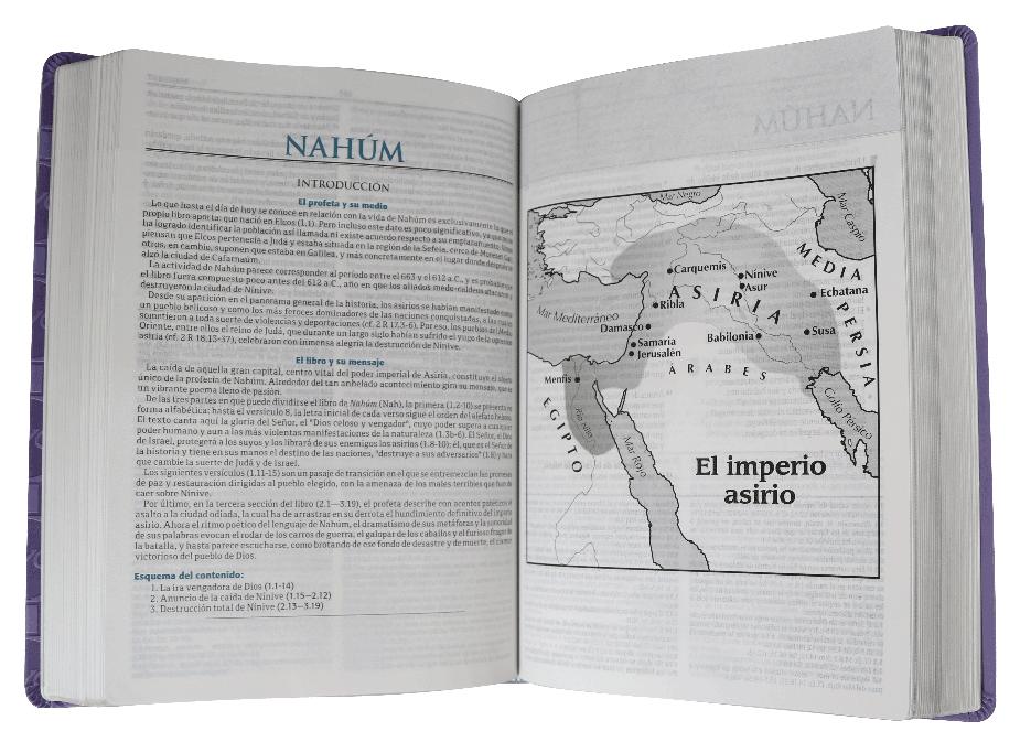 BIBLIA RVC085EEC DE ESTUDIO LILA