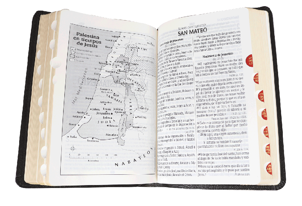 Biblia Pastoral RVR60 Letra Grande | Simil Piel