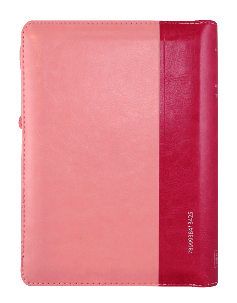 Biblia Reina Valera 1960 046 Letra Grande
