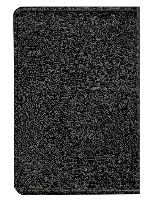 Biblia Pastoral RVR60 Letra Grande | Simil Piel