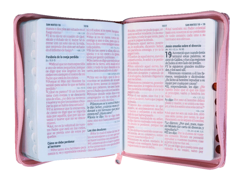 Biblia Reina Valera 1960 046 Letra Grande