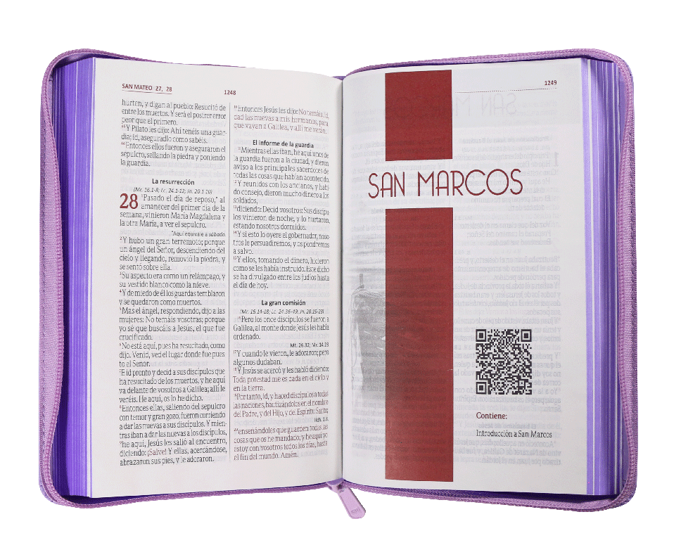Biblia RVR60 Letra Grande 12 pts con Recursos Digitales - Color Lila