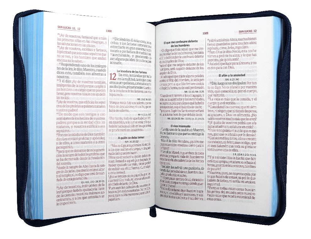 Biblia RVR60 Letra Grande 12 pts con Recursos Digitales - Color Azul