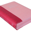 Biblia Reina Valera 1960 046 Letra Grande