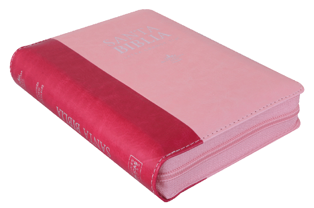 Biblia Reina Valera 1960 046 Letra Grande