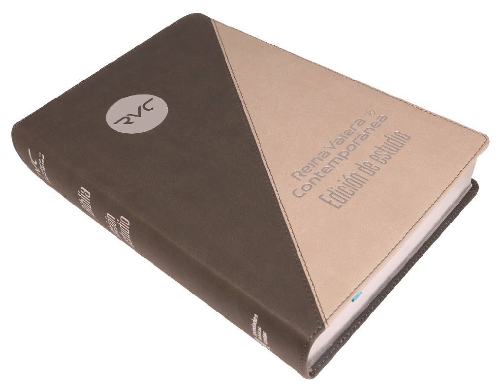 BIBLIA RVC085EEC DE ESTUDIO GRIS NEGRO