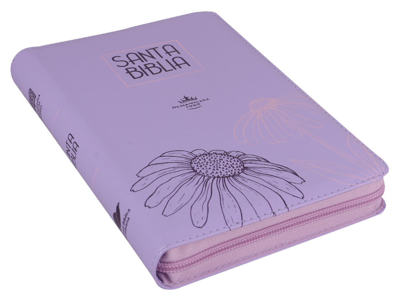 Biblia RVR60 Letra Grande 12 pts con Recursos Digitales - Color Lila