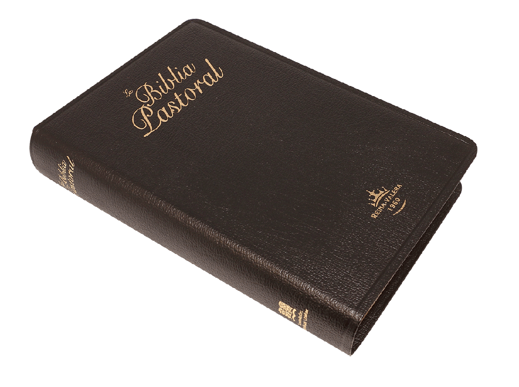 Biblia Pastoral RVR60 Letra Grande | Simil Piel