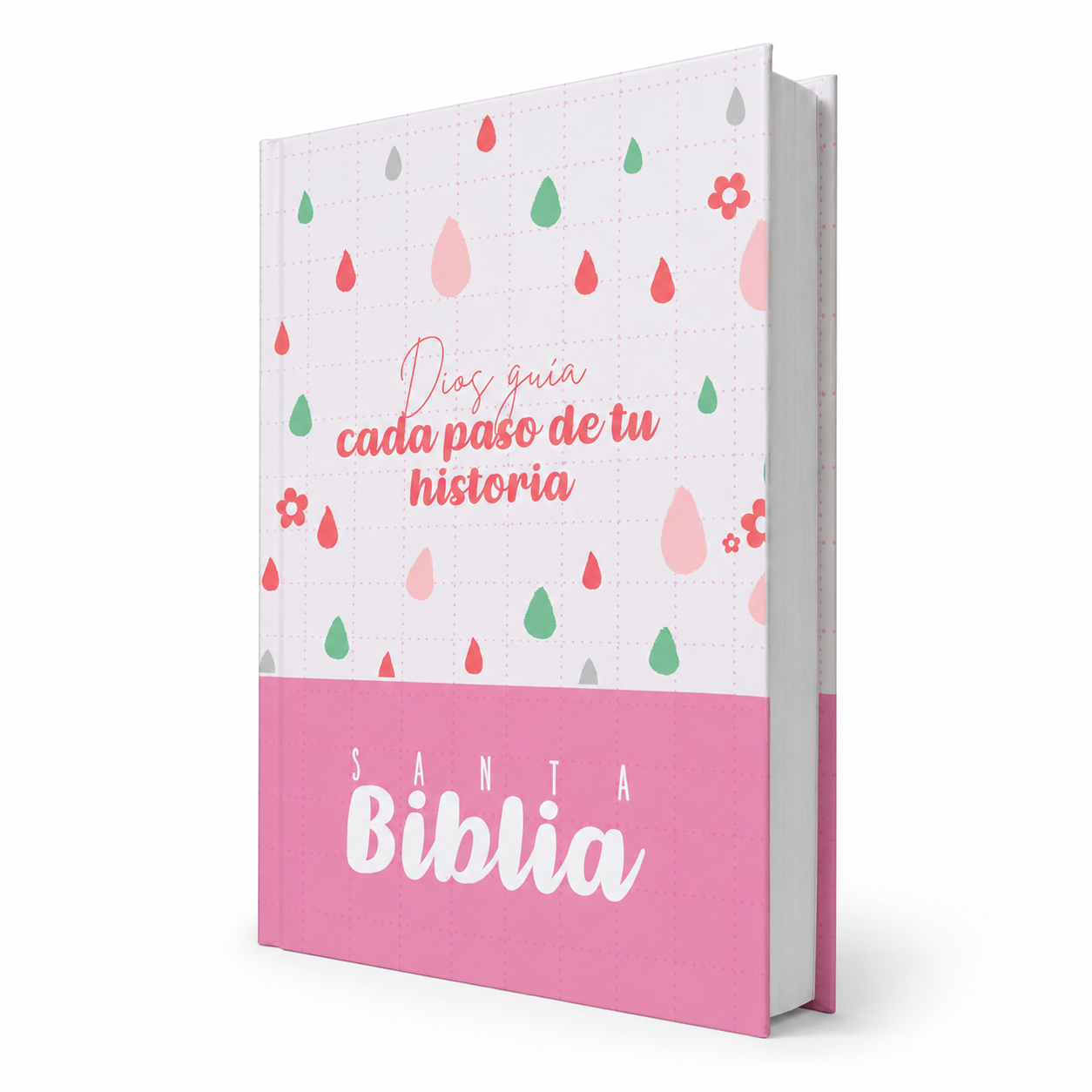 BIBLIA LETRA GRANDE RVR063LG PJR  COLOR ROSA 12 PUNTOS TAPA DURA
