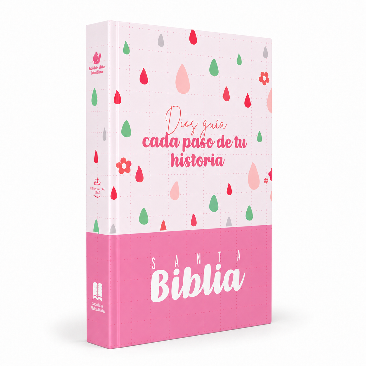 BIBLIA LETRA GRANDE RVR063LG PJR  COLOR ROSA 12 PUNTOS TAPA DURA