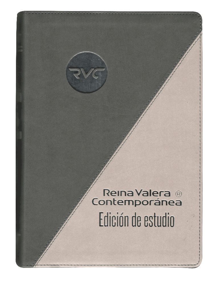 BIBLIA RVC085EEC DE ESTUDIO GRIS NEGRO