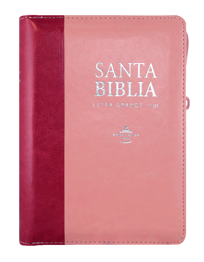 Biblia Reina Valera 1960 046 Letra Grande
