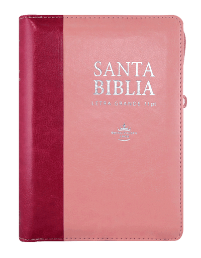 Biblia Reina Valera 1960 046 Letra Grande