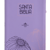 Biblia RVR60 Letra Grande 12 pts con Recursos Digitales - Color Lila