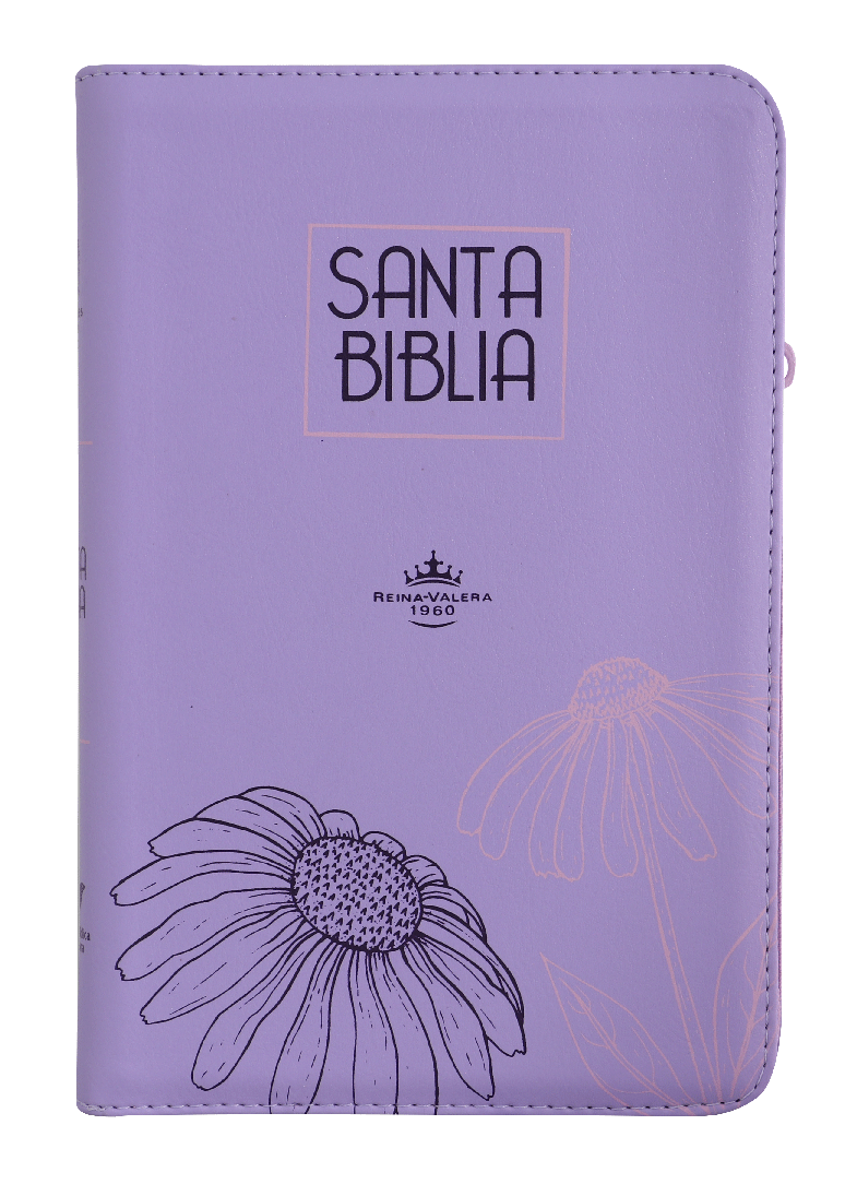Biblia RVR60 Letra Grande 12 pts con Recursos Digitales - Color Lila
