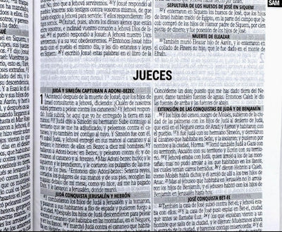Biblia Misionera RVR  Pastor Rústica Portada Ilustrada